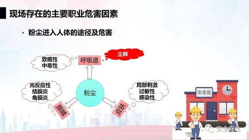升级版职业安全与健康管理培训 构建全方位健康管理体系，赋能组织与员工共赢
